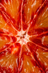 Sand + Paws Tarocco Orange 21 oz scented candle