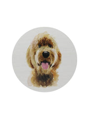 Sand + Paws Teakwood 21 oz scented candle