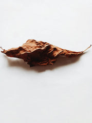 Vanilla Tobacco Whiskey and Leather 12 oz scented candle