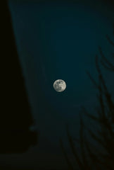 Havana Nights 10 oz scented candle