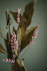 Lavender & Vanilla 95ml Linen Spray