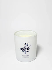 Tropical Citrus Natural Home 11.5 oz scented candle