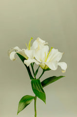 Gardenia 110 ml Reed Diffuser