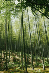 Floral Bamboo 12 oz scented candle