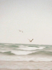 Clean Waves 100 ml Room Spray