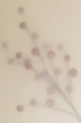 Goji Berry 100 ml Room Spray