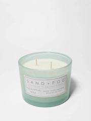Eucalyptus Mint 12 oz scented candle