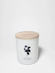 Tides of the Moon Natural Home 11.5 oz scented candle