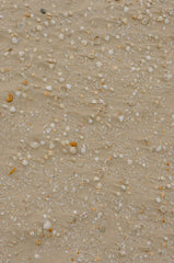 Sand + Paws Ocean & Sea Salt 12 oz scented candle