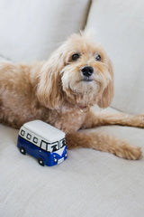 Sand + Paws Newport 14 oz scented candle