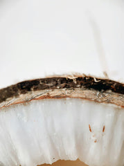 Vanilla Coconut 32 oz Body Wash