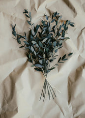 Eucalyptus 100 ml Room Spray