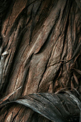 Vanilla Sandalwood Natural Home 13 oz scented candle