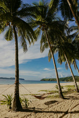 Tahitian Vanilla 20 oz Liquid Hand Soap