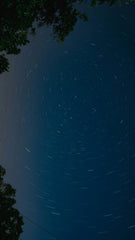 Midnight Blue 50 ml Perfume Oil Rollerball